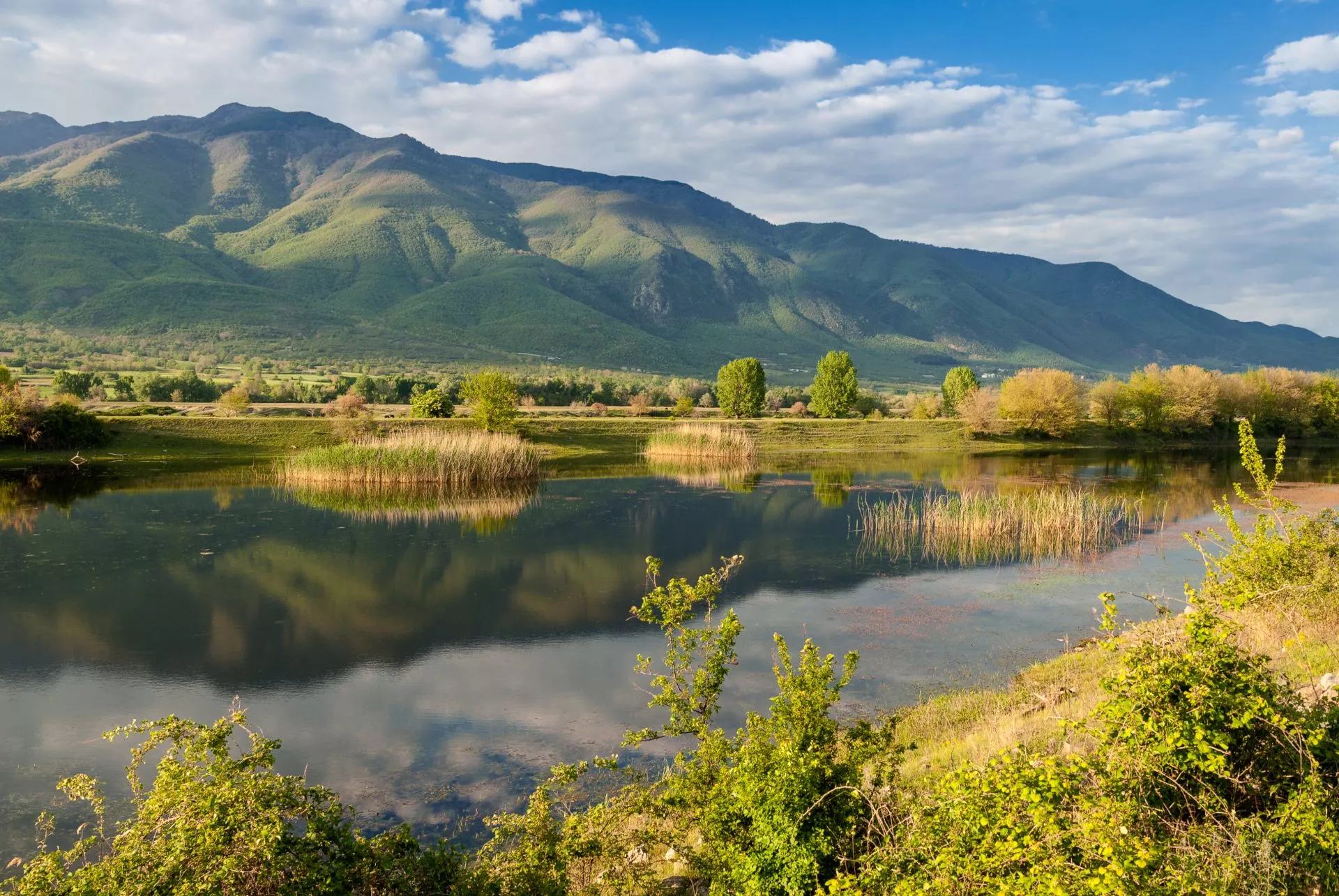 Kerkini